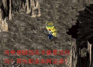 传奇里赚钱高手都是法师吗?其他职业如何逆袭? 传奇里赚钱高手都是法师吗?其他职业如何逆袭?