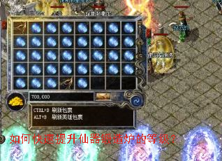 ��ο���������������¯�ĵȼ���