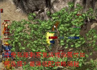 传奇私服刺客复活戒指属性如何选择?最强搭配攻略揭秘 传奇私服刺客复活戒指属性如何选择?最强搭配攻略揭秘