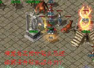 �����ϻ���������ϵͳ����������ս������