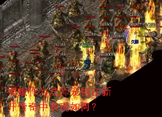 楔蛾作为法师宠物在新开传奇中表现如何? 楔蛾作为法师宠物在新开传奇中表现如何?