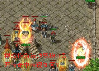 楔蛾作为法师宠物在新开传奇中表现如何? 楔蛾作为法师宠物在新开传奇中表现如何?