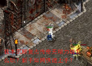 �ұ���Ĭ���Ŵ����޾�������ô�棿������ο������֣�