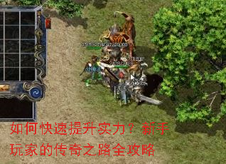 如何快速提升实力?新手玩家的传奇之路全攻略 如何快速提升实力?新手玩家的传奇之路全攻略