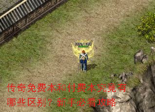 传奇免费本和付费本究竟有哪些区别?新手必看攻略 传奇免费本和付费本究竟有哪些区别?新手必看攻略