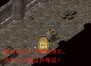 我领悟到了传奇的快乐,该怎么快速提升等级? 我领悟到了传奇的快乐,该怎么快速提升等级?