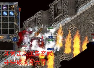 如何击败圣兽玄武并突破凌霄天界? 如何击败圣兽玄武并突破凌霄天界?