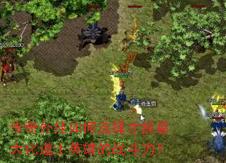 ����������ѡ�������󻯵�ʿӢ�۵�ս������