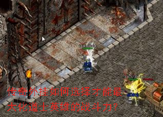 ����������ѡ�������󻯵�ʿӢ�۵�ս������