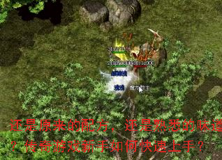 还是原来的配方,还是熟悉的味道?传奇游戏新手如何快速上手? 还是原来的配方,还是熟悉的味道?传奇游戏新手如何快速上手?