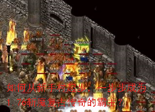 ��δ����ִ��𲽣�һ������Ϊ1.76նħ���Ŵ���İ�����