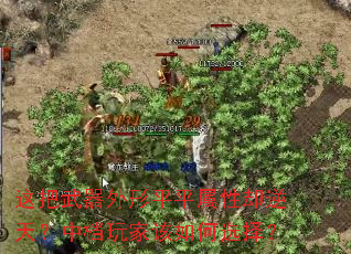 �����������ƽƽ����ȴ���죿�е���Ҹ����ѡ��