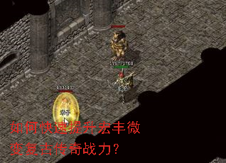 ��ο����������΢�临�Ŵ���ս����