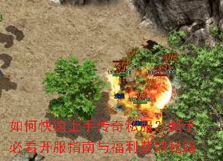 ��ο������ִ���˽�������ֱؿ�����ָ���븣����ȡ�ؼ�