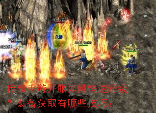 �������ο�����ο���������װ����ȡ����Щ���ɣ�