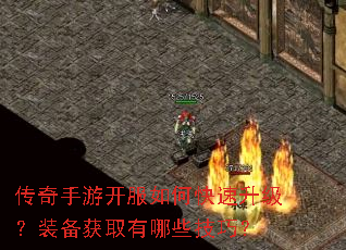 �������ο�����ο���������װ����ȡ����Щ���ɣ�