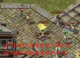 ������������ж�ǿ��������ο��ٻ�ȡ���������������