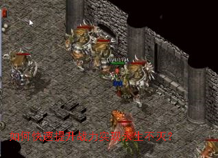 ��ο�������ս��ʵ����������