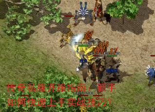 传奇私服开服指南:新手如何快速上手实战技巧? 传奇私服开服指南:新手如何快速上手实战技巧?