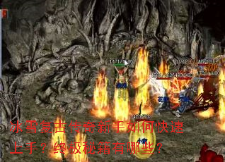 ��ѩ���Ŵ���������ο������֣��ռ��ؼ�����Щ��