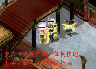 ���Ŵ����̬�棺��ο������֣����ֱؿ�����ָ��