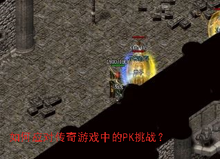 ���Ӧ�Դ�����Ϸ�е�PK��ս��