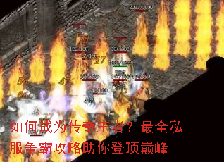 ��γ�Ϊ�������ߣ���ȫ˽�����Թ�������Ƕ��۷�