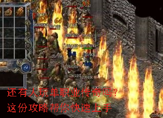 �������浥ְҵ��������ݹ��԰����������