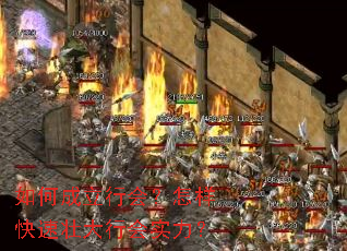 如何成立行会?怎样快速壮大行会实力? 如何成立行会?怎样快速壮大行会实力?