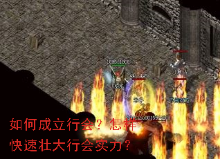 如何成立行会?怎样快速壮大行会实力? 如何成立行会?怎样快速壮大行会实力?