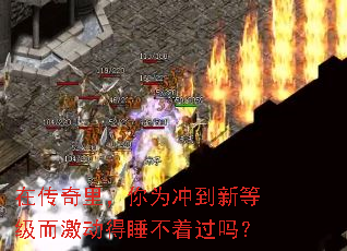 在传奇里,你为冲到新等级而激动得睡不着过吗? 在传奇里,你为冲到新等级而激动得睡不着过吗?