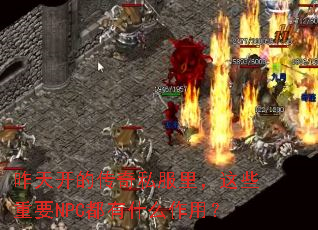 昨天开的传奇私服里,这些重要NPC都有什么作用? 昨天开的传奇私服里,这些重要NPC都有什么作用?