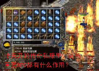 昨天开的传奇私服里,这些重要NPC都有什么作用? 昨天开的传奇私服里,这些重要NPC都有什么作用?