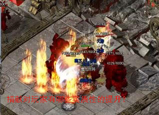 ���׶��������Щʵ���Ե�������