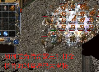 ��γ�Ϊ��������������׵ĲƸ���������