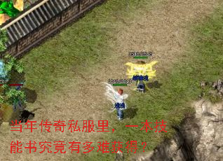当年传奇私服里,一本技能书究竟有多难获得? 当年传奇私服里,一本技能书究竟有多难获得?
