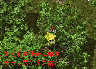 �����ʤ����˽���������µ���;֮·��