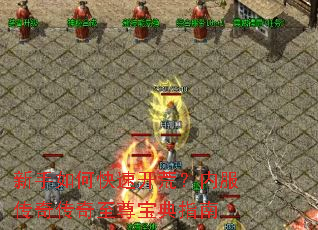 ������ο��ٿ��ģ��ڷ����洫�����𱦵�ָ��