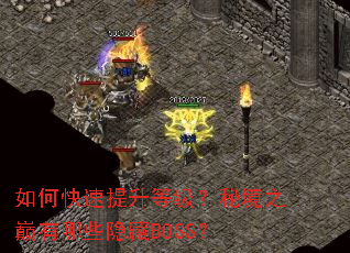 ��ο��������ȼ����ؾ�֮������Щ����BOSS��