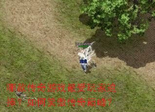 �Ŀ����Ϸ�������׷�������Ц�������۷壿