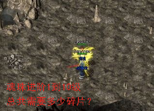 �������1��10���ܹ���Ҫ������Ƭ��