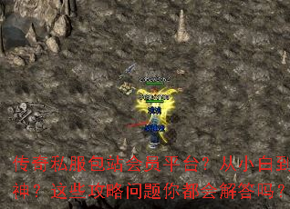 ����˽����վ��Աƽ̨����С�׵�������Щ���������㶼������