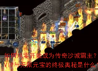 ��δ��㿪ʼ��Ϊ����ɳ�ǰ���������VIP������Ԫ�����ռ�������ʲô��