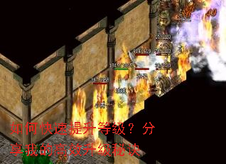 ��ο��������ȼ��������ҵĸ�Ч�����ؾ�