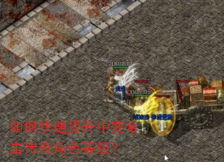 如何快速提升中变合击传奇角色等级? 如何快速提升中变合击传奇角色等级?