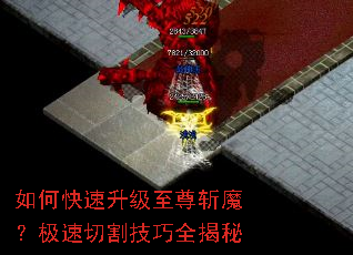 ��ο�����������նħ�������и��ȫ����