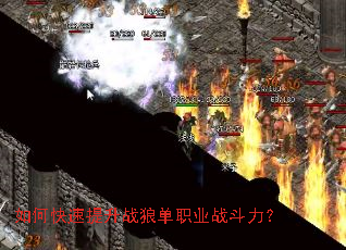 ��ο�������ս�ǵ�ְҵս������