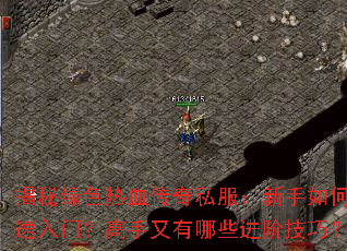 ������ɫ��Ѫ����˽����������ο������ţ�����������Щ���׼��ɣ�