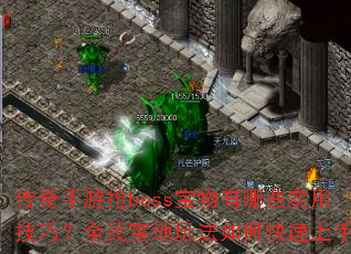 ����������boss��������Щʵ�ü��ɣ�ȫ�񱦵��淨��ο������֣�