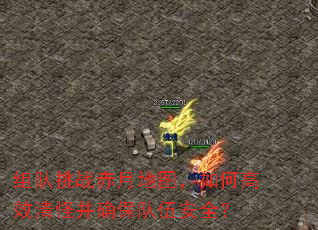 �����ս���µ�ͼ����θ�Ч��ֲ�ȷ�����鰲ȫ��